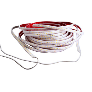 LED Stripes ab IP44 bei Elektrotechnik Kastner GmbH & Co. KG in Westendorf